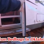 More Than Bedbugs In Oklahoma City