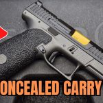 TOP 5 Best Concealed Carry Guns For Beginners in 2025