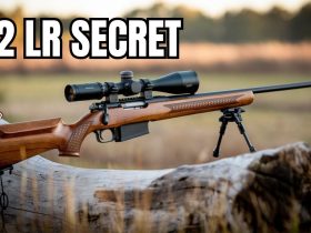 The Shocking Truth About .22LR Rifles You Have Never Heard Before!