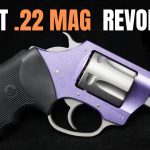 Top 5 Best .22 Magnum Revolvers of 2025 | Ultimate Rimfire Power