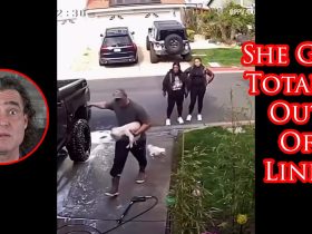 Argument Escalates To Woman Kicking Family Pet In California