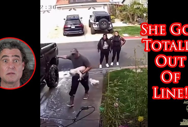 Argument Escalates To Woman Kicking Family Pet In California