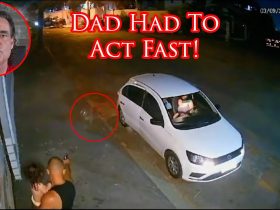 Dad Has Split Second To Protect Himself And His Baby From Charging Dog