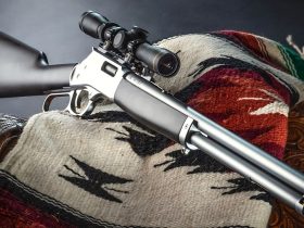 The Top 5 Fastest Selling Guns In The U.S. In 2025! #1 Will SHOCK You