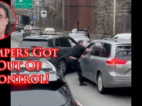 Bronx Road Rage Gets All Kinds of Stupid!