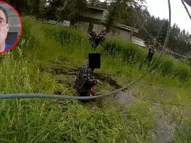 Deputy Uses Lasso To End The Threat!