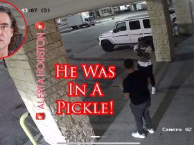 Armed Robber Pretends To Be A Cop But The Victim’s Wife Saves The Day!