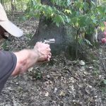 Colt King Cobra  22LR Woods Walk