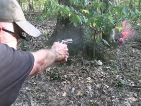 Colt King Cobra  22LR Woods Walk