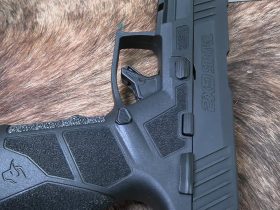 Taurus GX2  9mm
