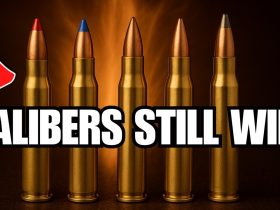 7 Forgotten Hunting Calibers That Are More Accurate Than Modern Calibers!