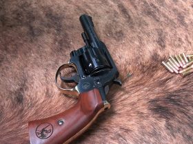 Henry Golden Boy  .22  Revolver