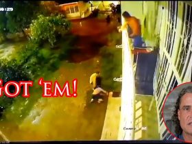 Armed Homeowner Turns Home Invaders Into Goombas!