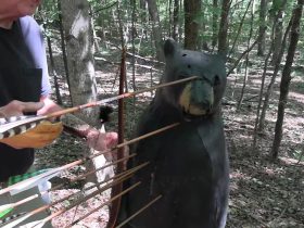 Are Pulleys and Wheels Necessary for Bear Hunting?