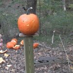 Pumpkin Carving  2025 with a 45 ACP