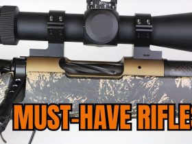 Top 5 Precision Hunting Rifles That Are Actually Worth Your Money [2025]