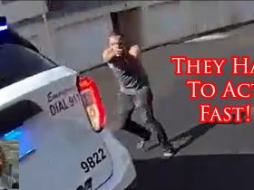 Bullhead Officers Stop Dangerous Felon