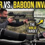 I Hunted The “Ninja” Baboons of South Africa!
