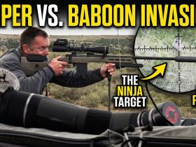 I Hunted The “Ninja” Baboons of South Africa!