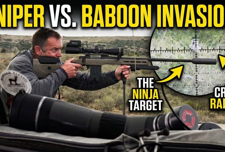 I Hunted The “Ninja” Baboons of South Africa!