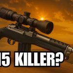 10 Reasons Why the Ruger Mini-14 SMASHES the AR15