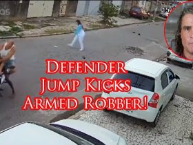 Motorcycle Robbery Attempt Stops When Defender Fights Back