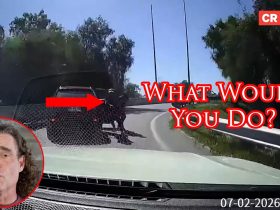 Savvy Defender Outsmarts Armed Carjackers!