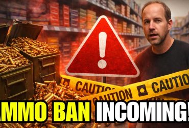 New Bill Will End Online Ammo Nationwide