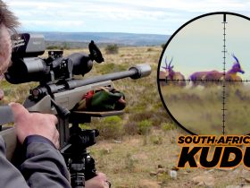 Not a Trophy Hunt… Real Conservation in South Africa (Full Gear Breakdown + Kudu Double)