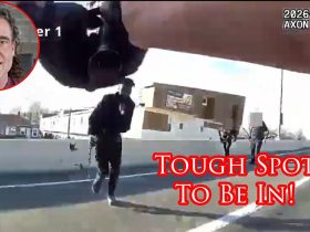 Officer Puts a Round in His Partner While Stopping a Threat