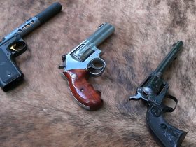 What is the Right .22  Handgun for You?