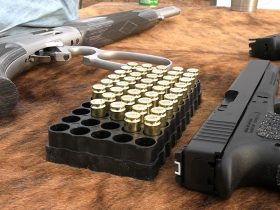 Does This Caliber Belong In A Lever Action?