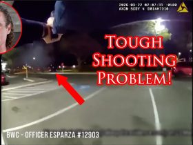 Dallas Officers Show Great Heart, Iffy Marksmanship