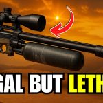 These 9 Air Rifles Can Take Down Hogs, Intruders, And Everything In Between