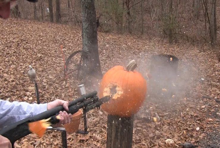 Are Slugs Underrated?