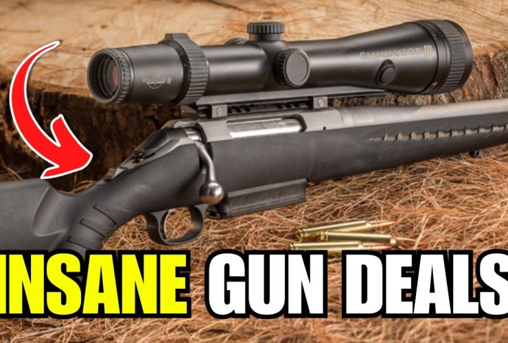 5 CHEAP GUNS EVERYONE IGNORES (But These 3 Guns Are Absolute Goldmines)