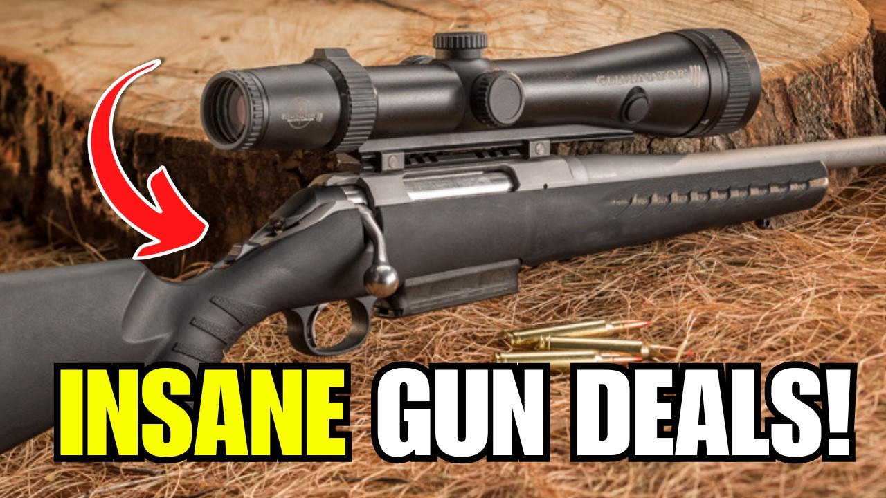 5 CHEAP GUNS EVERYONE IGNORES (But These 3 Guns Are Absolute Goldmines)