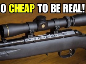 Top 5 Rifles For The $$$ (2026) || Best Budget Rifles on the Market?!