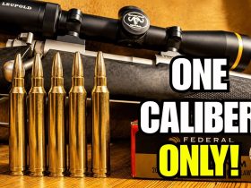 7 Hunting Calibers That Make Sense If You Only Own One Rifle