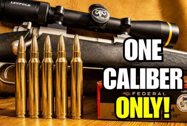 7 Hunting Calibers That Make Sense If You Only Own One Rifle