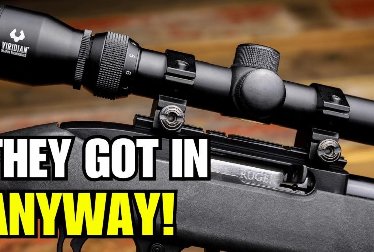 Beretta Lost the Fight, But Got Inside Ruger Anyway