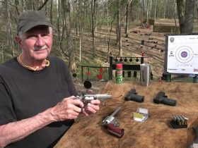 What Gun Is Best for Grizzly Bears?