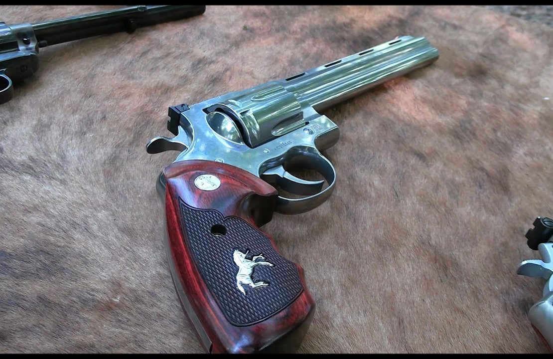 What is the Best BBQ Gun?