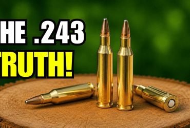 10 Shocking Facts About the .243 Winchester – They Don’t Want You to Know!