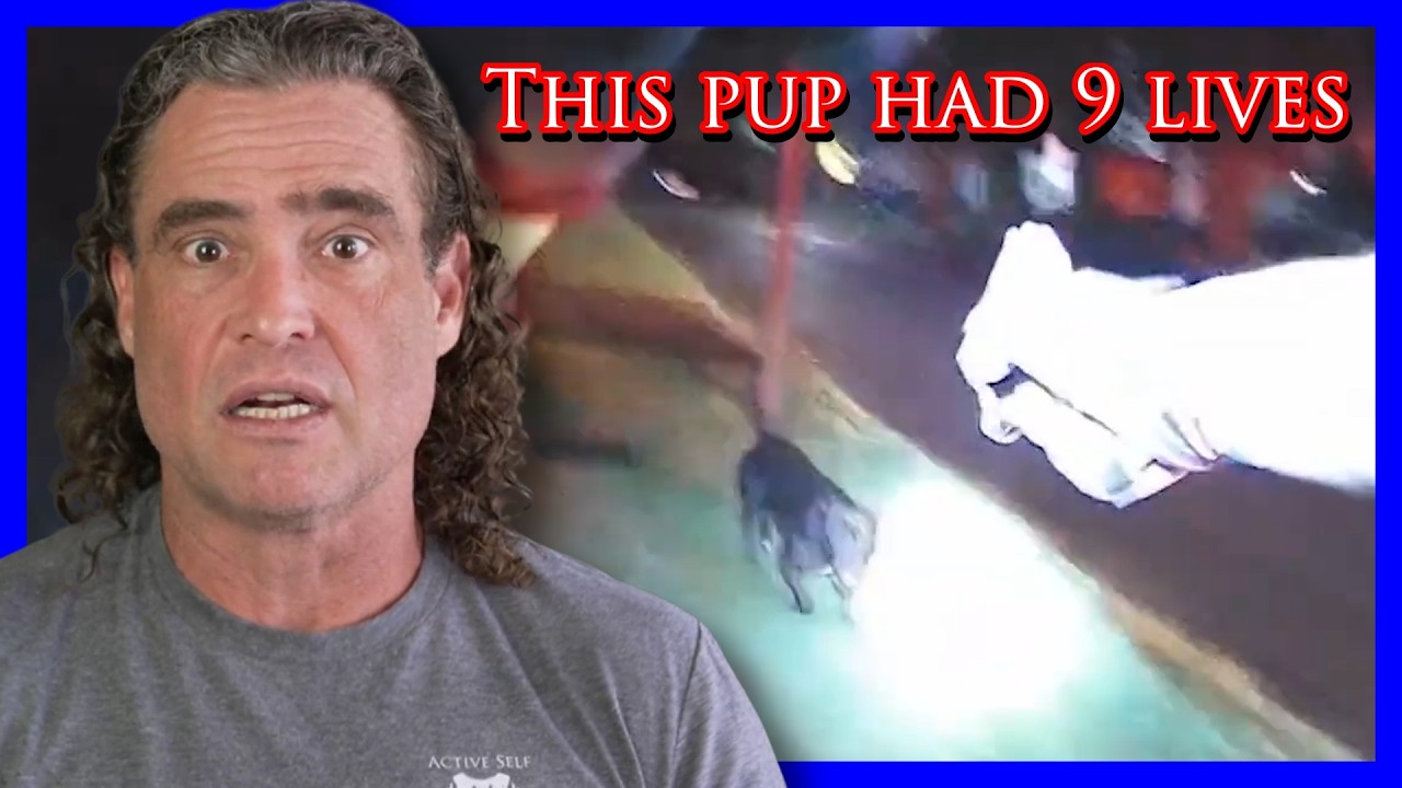 Homeowner Can’t Control His Dog Or Emotions | Active Self Protection
