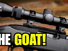 America’s Favorite Rifle