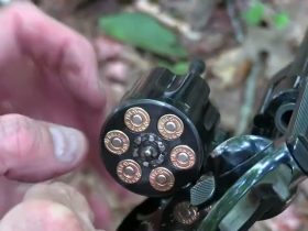 S&W Registered Magnum  Close-up