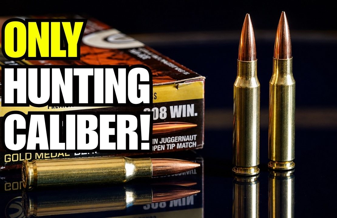 Why The .308 Winchester Is The Strongest “One Hunting Caliber” Pick