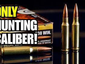 Why The .308 Winchester Is The Strongest “One Hunting Caliber” Pick