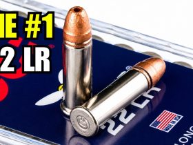 9 Best .22 LR Ammo for Defense, Hunting, and Reliability In 2026